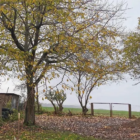 Hébergement de vacances Lichtenberg *