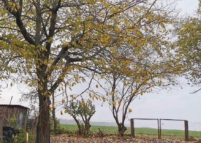 Prázdninový dům Lichtenberg *